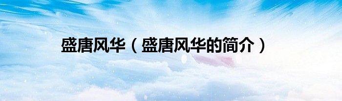 盛唐风华（盛唐风华的简介）
