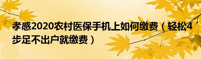 孝感2020农村医保手机上如何缴费（轻松4步足不出户就缴费）