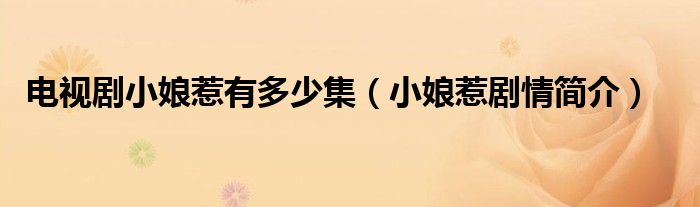 电视剧小娘惹有多少集（小娘惹剧情简介）