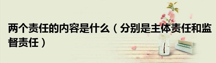 两个责任的内容是什么（分别是主体责任和监督责任）