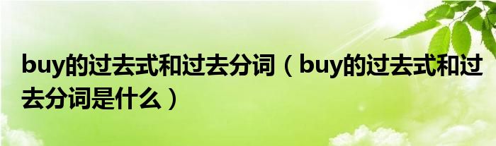 buy的过去式和过去分词（buy的过去式和过去分词是什么）