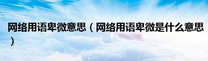 网络用语卑微意思（网络用语卑微是什么意思）