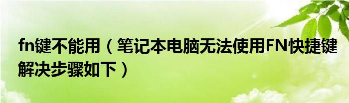 fn键不能用（笔记本电脑无法使用FN快捷键解决步骤如下）