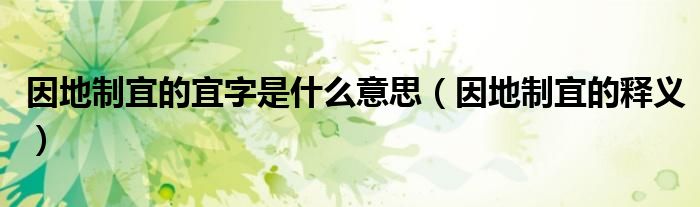 因地制宜的宜字是什么意思（因地制宜的释义）