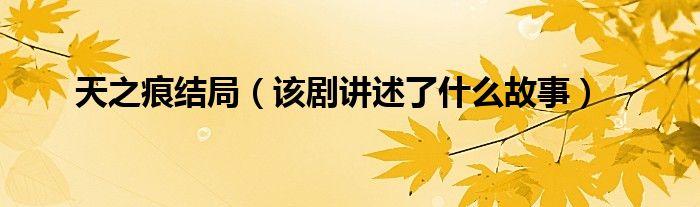 天之痕结局（该剧讲述了什么故事）