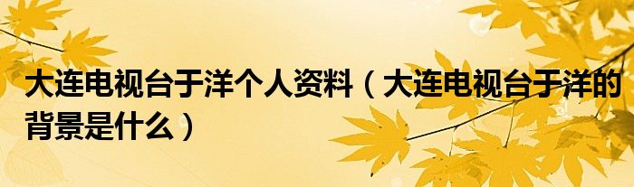 大连电视台于洋个人资料（大连电视台于洋的背景是什么）