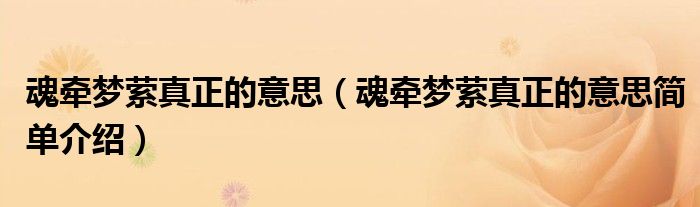 魂牵梦萦真正的意思（魂牵梦萦真正的意思简单介绍）