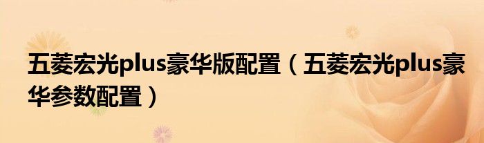 五菱宏光plus豪华版配置（五菱宏光plus豪华参数配置）