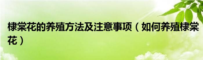 棣棠花的养殖方法及注意事项（如何养殖棣棠花）
