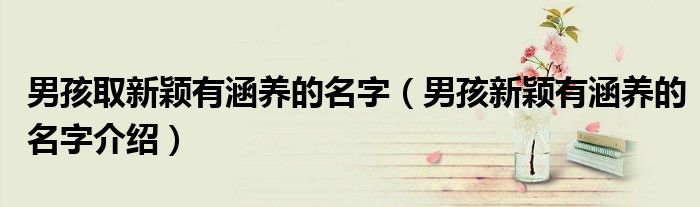 男孩取新颖有涵养的名字（男孩新颖有涵养的名字介绍）
