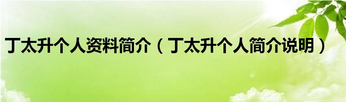 丁太升个人资料简介（丁太升个人简介说明）