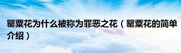 罂粟花为什么被称为罪恶之花（罂粟花的简单介绍）