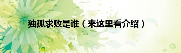 独孤求败是谁（来这里看介绍）
