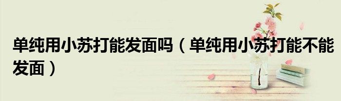 单纯用小苏打能发面吗（单纯用小苏打能不能发面）