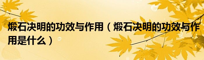 煅石决明的功效与作用（煅石决明的功效与作用是什么）