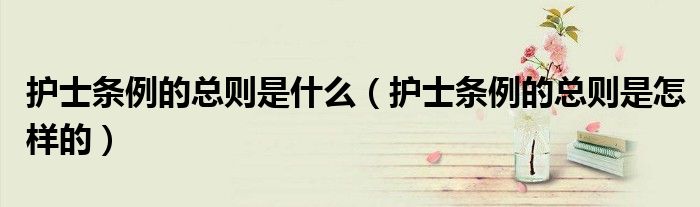 护士条例的总则是什么（护士条例的总则是怎样的）