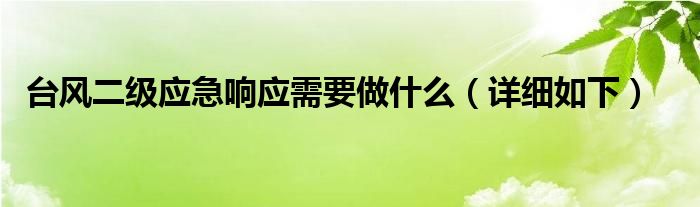台风二级应急响应需要做什么（详细如下）