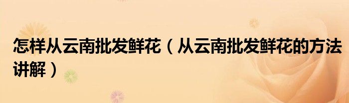 怎样从云南批发鲜花（从云南批发鲜花的方法讲解）