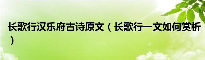 长歌行汉乐府古诗原文（长歌行一文如何赏析）