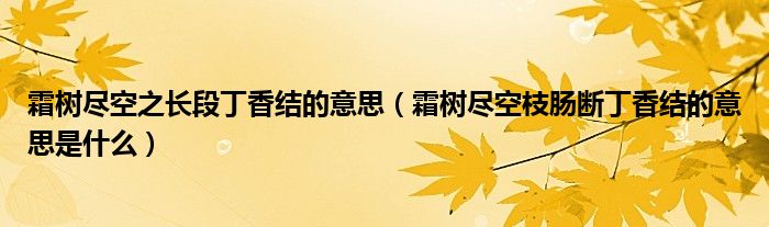 霜树尽空之长段丁香结的意思（霜树尽空枝肠断丁香结的意思是什么）