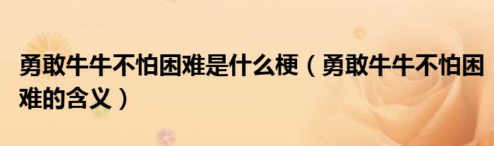勇敢牛牛不怕困难是什么梗（勇敢牛牛不怕困难的含义）