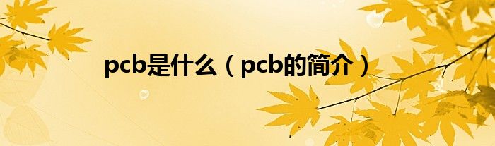 pcb是什么（pcb的简介）