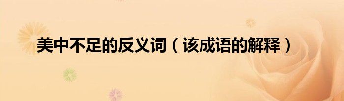 美中不足的反义词（该成语的解释）