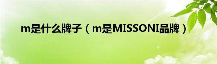 m是什么牌子（m是MISSONI品牌）