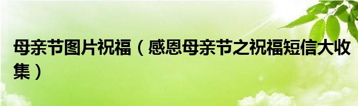 母亲节图片祝福（感恩母亲节之祝福短信大收集）