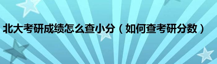 北大考研成绩怎么查小分（如何查考研分数）