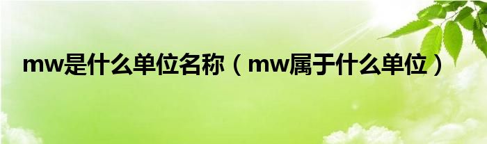 mw是什么单位名称（mw属于什么单位）