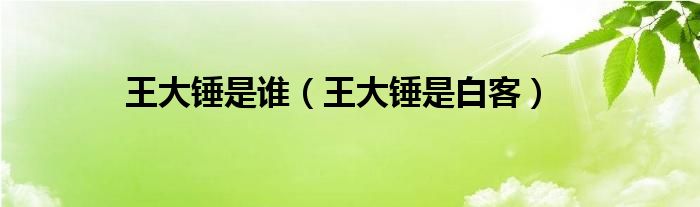 王大锤是谁（王大锤是白客）