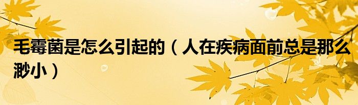 毛霉菌是怎么引起的（人在疾病面前总是那么渺小）
