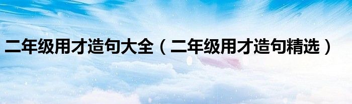 二年级用才造句大全（二年级用才造句精选）