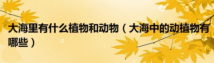 大海里有什么植物和动物（大海中的动植物有哪些）