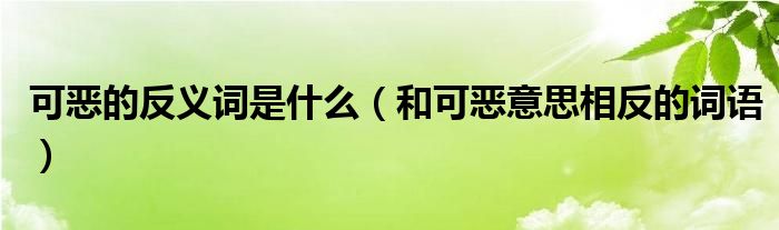 可恶的反义词是什么（和可恶意思相反的词语）