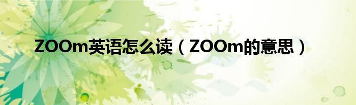 ZOOm英语怎么读（ZOOm的意思）
