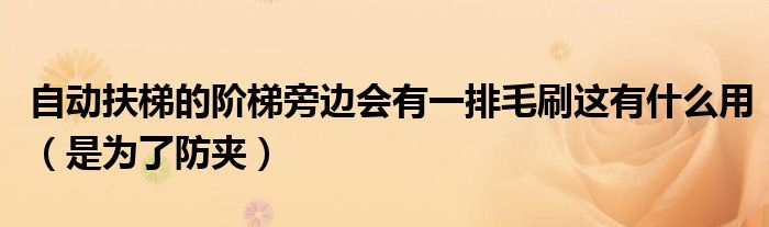 自动扶梯的阶梯旁边会有一排毛刷这有什么用（是为了防夹）