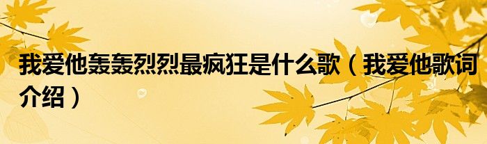 我爱他轰轰烈烈最疯狂是什么歌（我爱他歌词介绍）