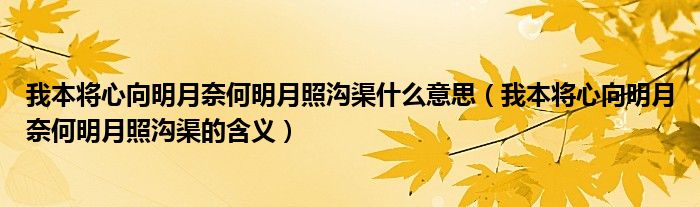 我本将心向明月奈何明月照沟渠什么意思（我本将心向明月奈何明月照沟渠的含义）