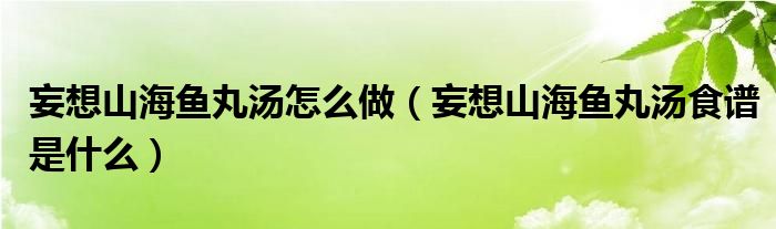 妄想山海鱼丸汤怎么做（妄想山海鱼丸汤食谱是什么）