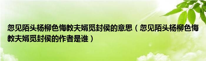 忽见陌头杨柳色悔教夫婿觅封侯的意思（忽见陌头杨柳色悔教夫婿觅封侯的作者是谁）