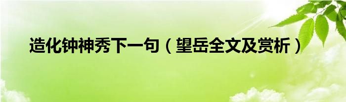 造化钟神秀下一句（望岳全文及赏析）