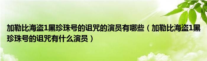 加勒比海盗1黑珍珠号的诅咒的演员有哪些（加勒比海盗1黑珍珠号的诅咒有什么演员）