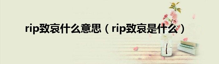 rip致哀什么意思（rip致哀是什么）