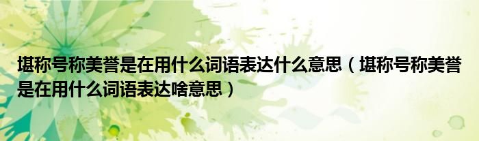 堪称号称美誉是在用什么词语表达什么意思（堪称号称美誉是在用什么词语表达啥意思）