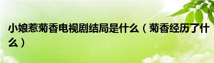 小娘惹菊香电视剧结局是什么（菊香经历了什么）