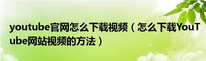 youtube官网怎么下载视频（怎么下载YouTube网站视频的方法）