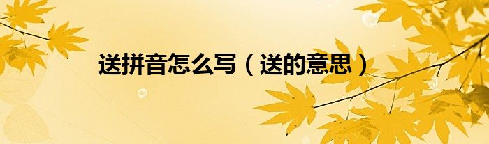 送拼音怎么写（送的意思）