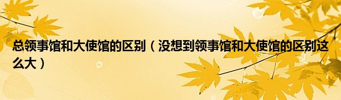 总领事馆和大使馆的区别（没想到领事馆和大使馆的区别这么大）